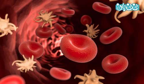 علت عفونت خون در کودکان چیست؟