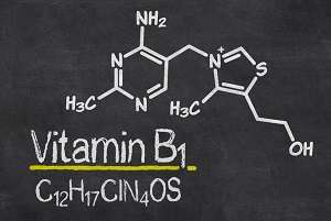 ویتامین B1 یا تیامین، ویتامینی برای سلامت کلیه ها