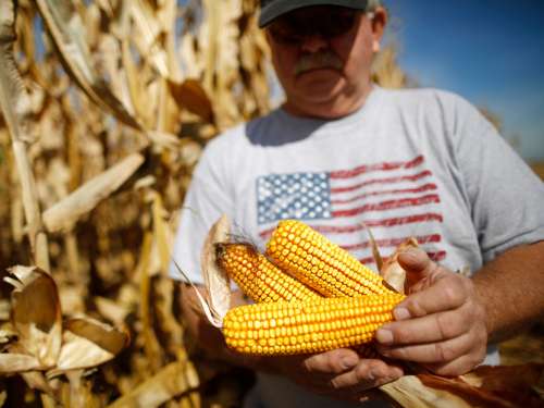 ۸ واقعیت جالب و خواندنی در مورد صنعت کشاورزی و دامداری در ایالات متحده