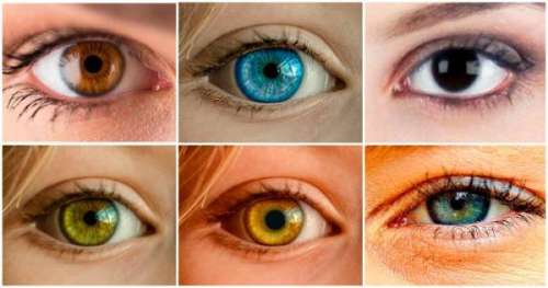 شخصیت شناسی ؛ رنگ چشم ها در مورد ما چه می گویند؟