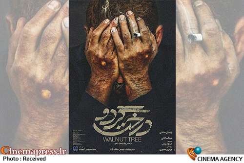 در آستانه جشنواره فیلم فجر؛
                    رونمایی از پوستر فیلم سینمایی «درخت گردو»