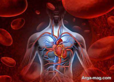 افزایش گردش خون در بدن با چند توصیه علمی و طبیعی