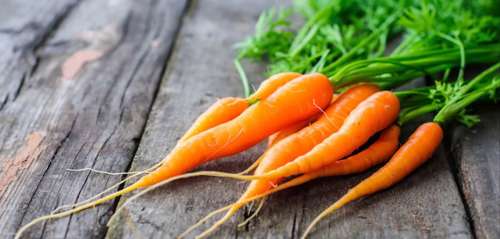 خواص هویج برای سلامتی کودکان
