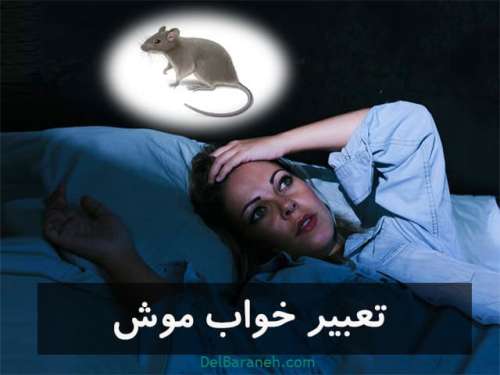 تعبیر خواب موش | دیدن خواب کشتن موش ، موش در خانه نشانه چیست؟