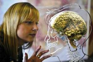 10 باور رایج درباره مغز انسان که اشتباه هستند!!
