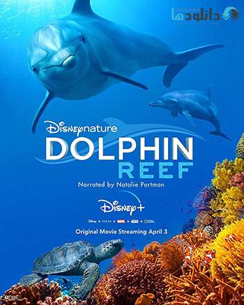 دانلود مستند تپه‌ی دلفین Dolphin Reef 2020 – کیفیت اولترا اچ دی ۲۱۶۰p 4K