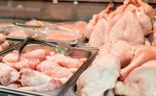 ممنوعیت قطعه کردن مرغ در فروشگاه ها