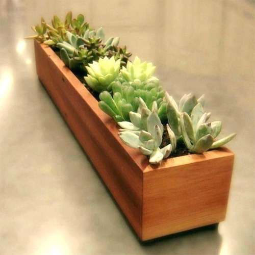 مدل گلدان چوبی برای گیاهان در فضای داخل و بیرون + راهنای انتخاب