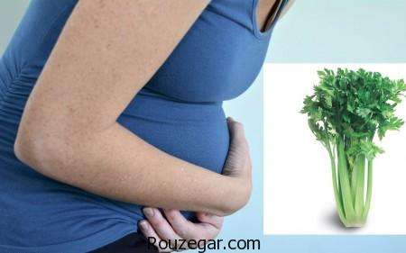 آیا مصرف کرفس در بارداری ممنوع است؟