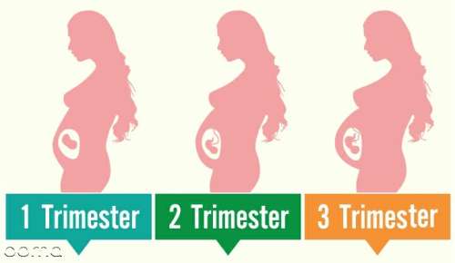 تغییرات اندازه رحم در ماههای مختلف بارداری