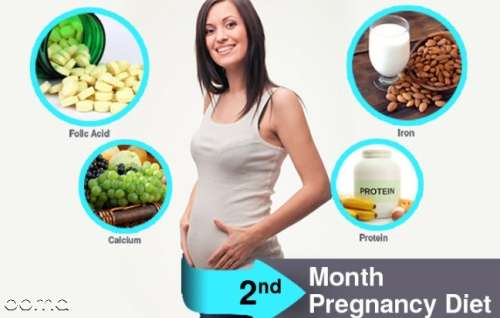 تغذیه در ماه دوم بارداری