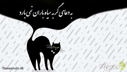 معنی ضرب المثل ” به دعای گربه سیاه باران نمی‌آید “