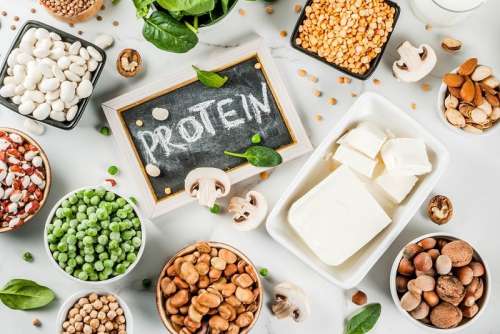 ۱۰ دلیل علمی که به مصرف پروتئین ترغیب‌تان می‌کند