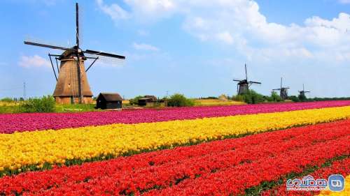 سفر به هلند | کشور زیبای گل ها و کانال ها