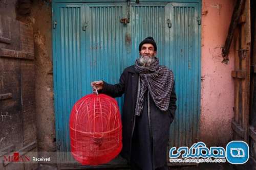 بازار پرندگان کابل + عکسها