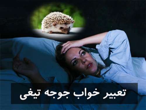 تعبیر خواب جوجه تیغی | دیدن خارپشت در خواب نشانه چیست؟