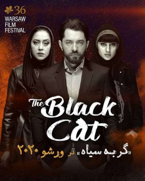 موفقیت بزرگ فیلم گربه سیاه در جشنواره ورشو 2020