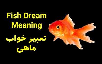 تعبیر خواب ماهی | دیدن ماهی در خواب چه تعابیری دارد؟
