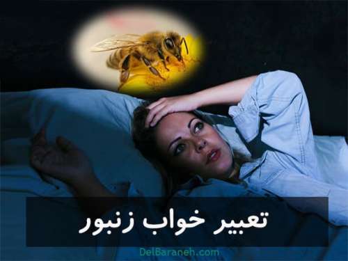تعبیر خواب زنبور | دیدن کشتن زنبور،نیش زدن زنبور در خواب
