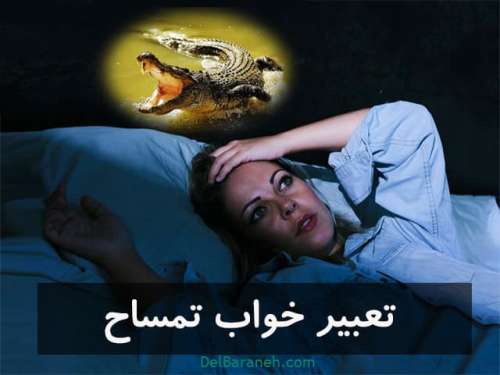 تعبیر خواب تمساح | دیدن کشتن تمساح،تمساح بزرگ در خواب