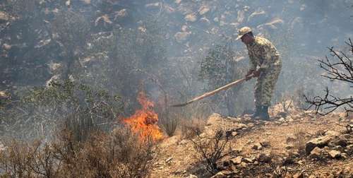 مهار آتش سوزی در جنگل های خامی