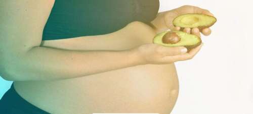 خواص آووکادو برای خانم باردار + مضرات مصرف آووکادو در بارداری