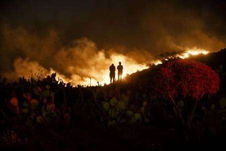 عکس های دیدنی وجالب روز؛ آتش‌سوزی جنگلی های کالیفرنیا تا ایستگاه‌های اسکوتر دوبی