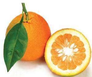 خواصی نهفته در برگ ، پوست ، آب و میوه نارنج