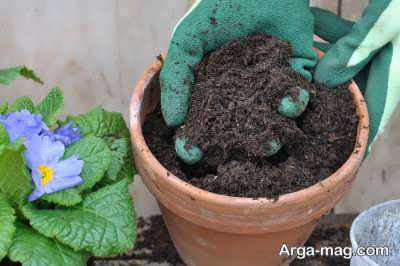 آموزش تهیه خاک گلدان حرفه ای در خانه