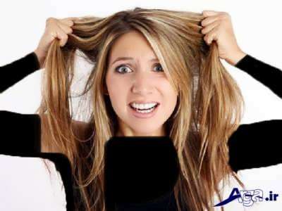 درمان موی چرب و چربی پوست سر با روش های خانگی و موثر