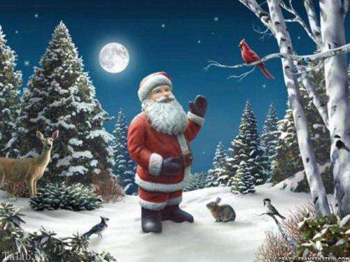 بزرگ ترین بابانوئل شنی دنیا (عکس)