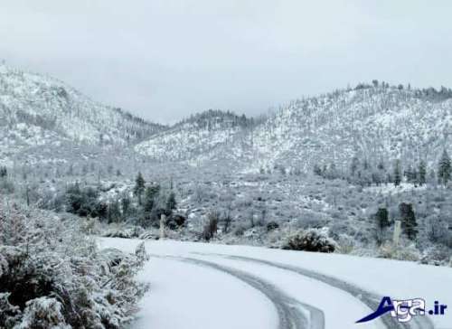 تصاویر منظره های برفی بسیار زیبا و تماشایی که نباید از دست بدهید!