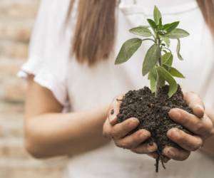 11 ایده طبیعی و ارزان برای تقویت خاک گلدان و باغچه