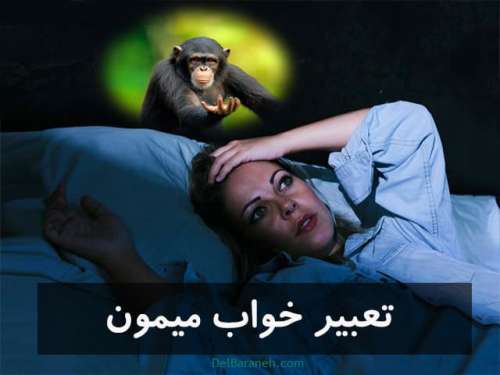 تعبیر خواب میمون | دیدن میمون در قفس،میمون مرده در خواب
