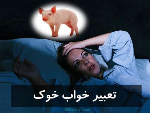 تعبیر خواب خوک | دیدن خوردن گوشت خوک،بچه خوک در خواب