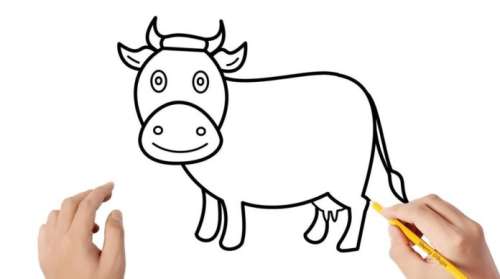 آموزش کشیدن نقاشی گاو برای کودکان پیش دبستانی و ابتدایی