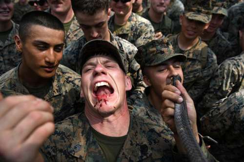 از خوردن مار تا نوشیدن خون؛ تمرینات نظامی آمریکا که خبرساز شده اند