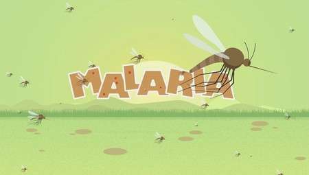 بیماری مالاریا چیست؟ علل و درمان بیماری مالاریا