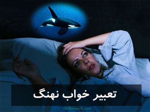 تعبیر خواب نهنگ |دیدن نهنگ سفید،نهنگ مرده در خواب