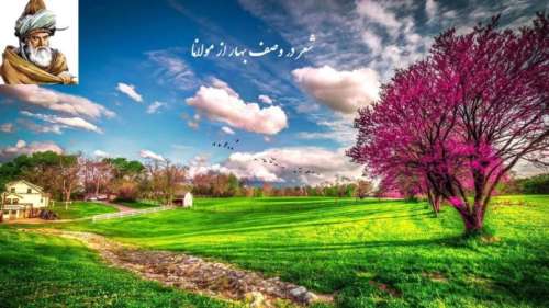 شعر در وصف بهار از مولانا در توصیف زیبایی های طبیعت در فصل بهار