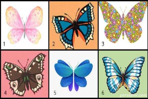 تست نقاط ضعف و قوت با انتخاب پروانه مورد علاقه تان