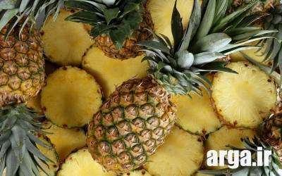 خواص آناناس, مهمترین خاصیت ها و خواص درمانی آناناس