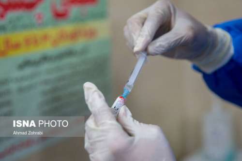 تکذیب تزریق واکسن به شورای شهر کنارک