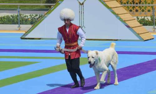 اختصاص یک روز تعطیل ملی به سگ آلابای در ترکمنستان توسط رییس جمهور