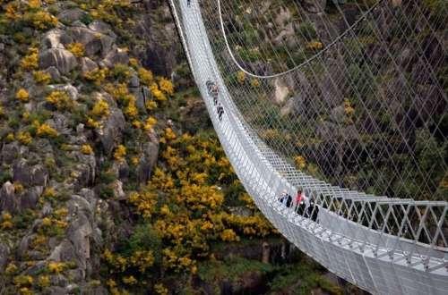 طولانی‌ترین پل عابر پیاده دنیا افتتاح شد/ عکس