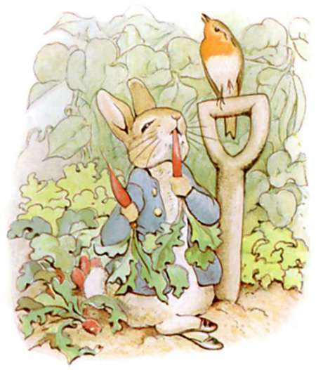 داستان پیتر خرگوشه (محبوب ترین داستان بئاتریکس پاتر )