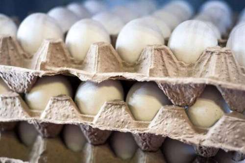 اعلام قیمت جدید هر شانه تخم‌مرغ