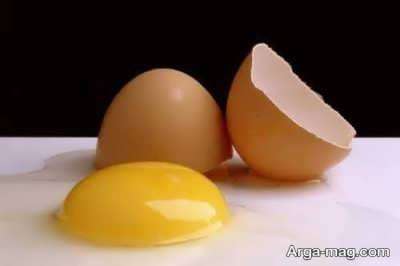 آشنایی با خواص زرده تخم مرغ و فواید متفاوت آن