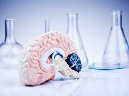 خطرناک ترین بیماری های مغزی کدامند؟