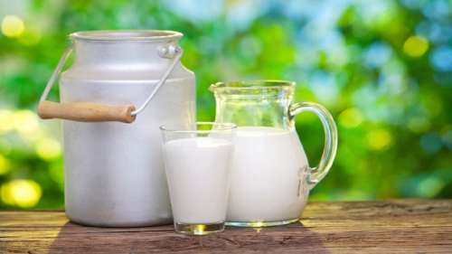 شیر فاسد را چگونه از شیر سالم تشخیص بدهیم؟